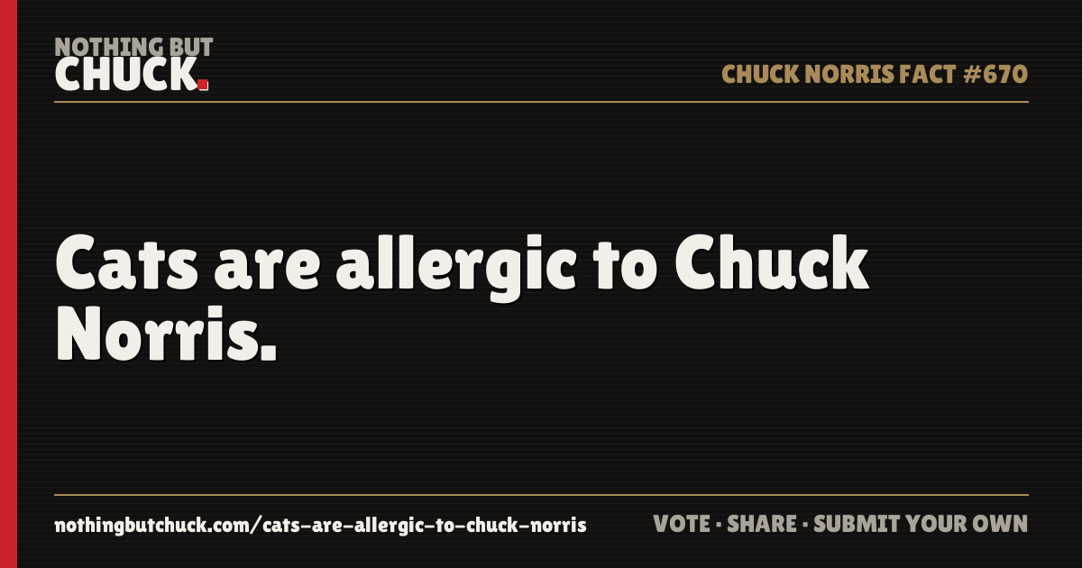 Share card: Cats are allergic to Chuck Norris.