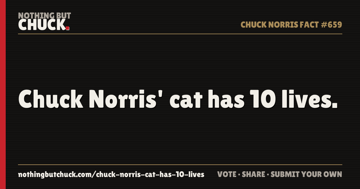 Share card: Chuck Norris' cat has 10 lives.