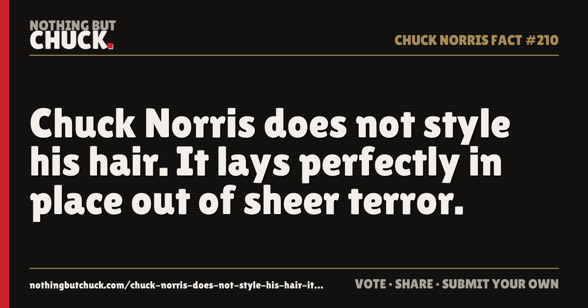 Share card: Chuck Norris does not style his hair. It lays perfectly in place out of sheer terror.
