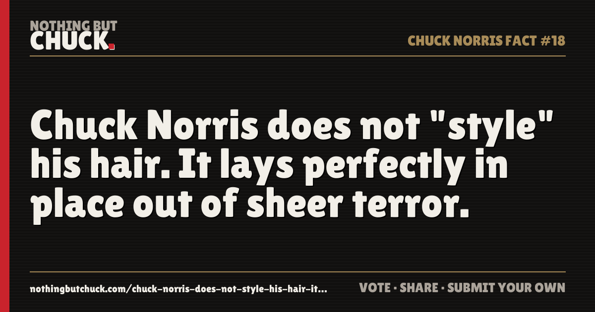 Share card: Chuck Norris does not "style" his hair. It lays perfectly in place out of sheer terror.