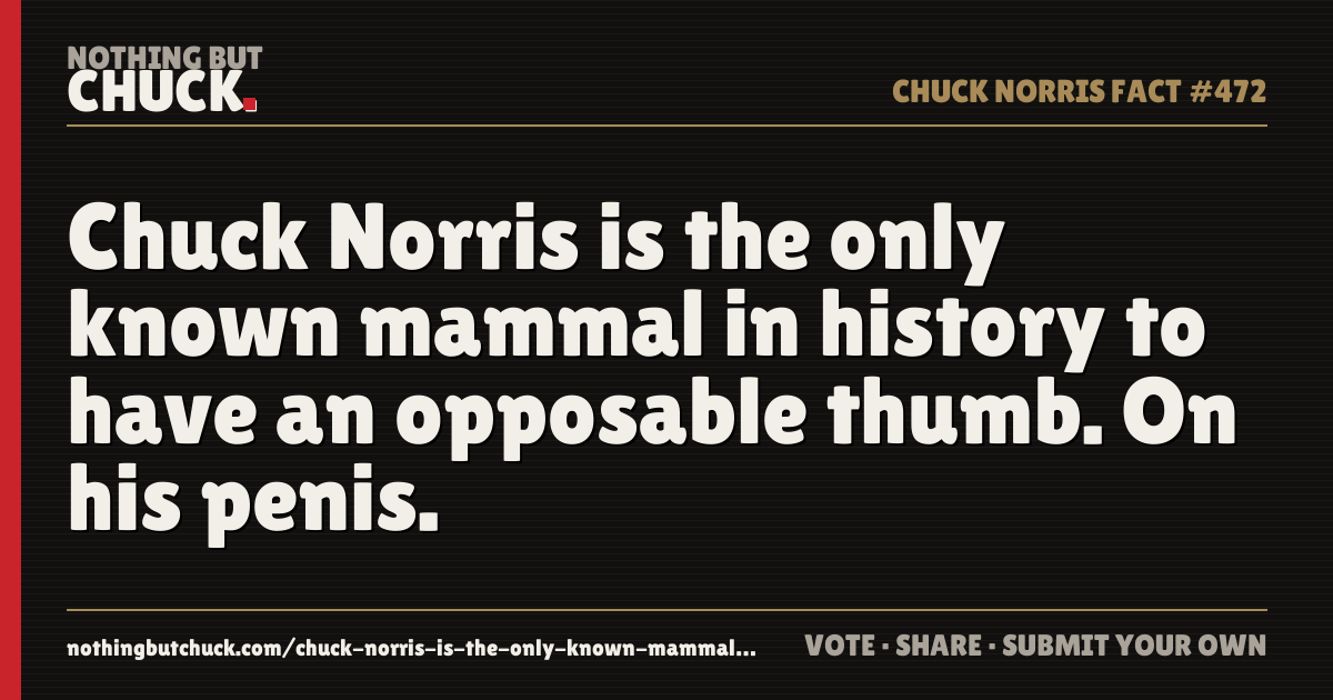 Share card: Chuck Norris is the only known mammal in history to have an opposable thumb. On his penis.