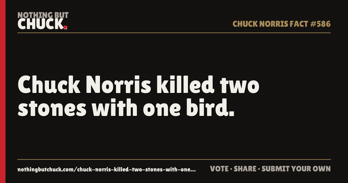 Share card: Chuck Norris killed two stones with one bird.