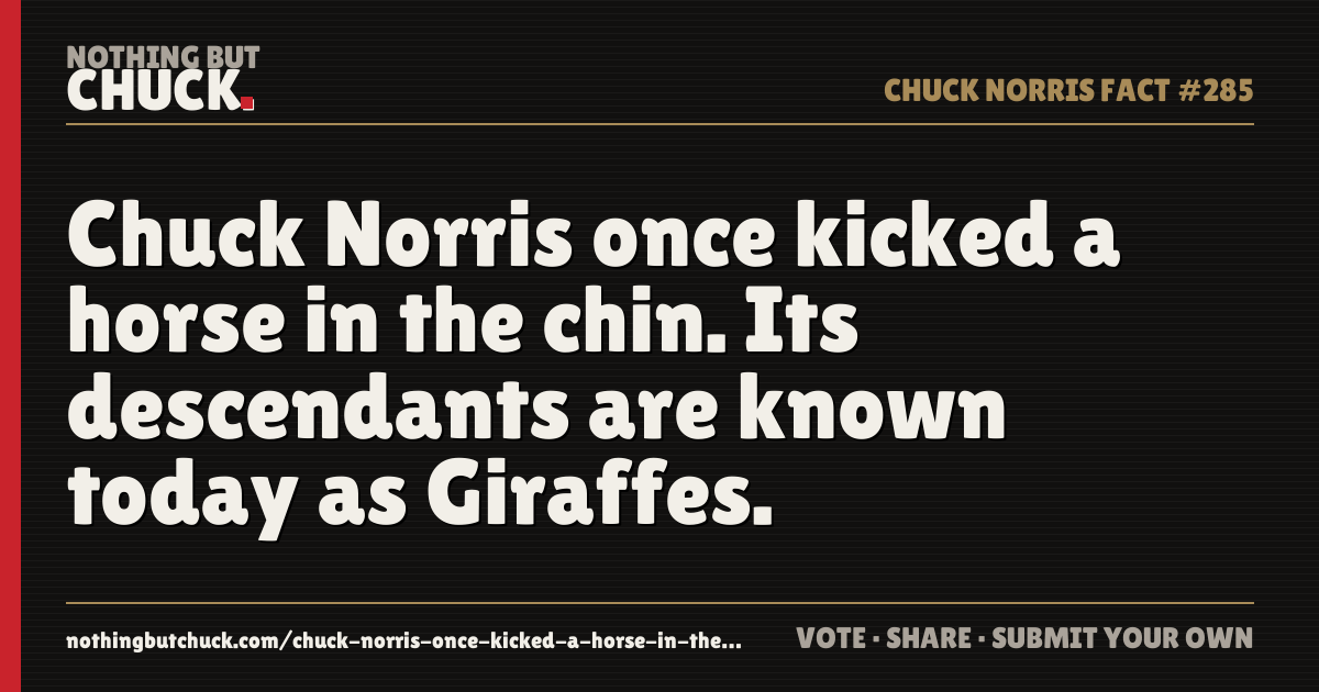 Share card: Chuck Norris once kicked a horse in the chin. Its descendants are known today as Giraffes.