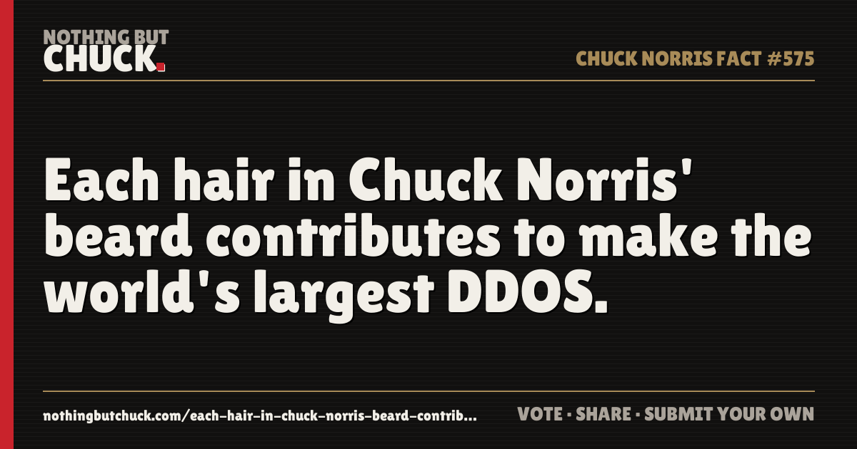 Share card: Each hair in Chuck Norris' beard contributes to make the world's largest DDOS.