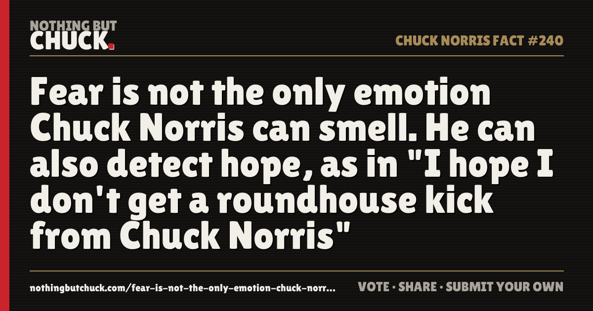 Share card: Fear is not the only emotion Chuck Norris can smell. He can also detect hope, as in "I hope I don't get a roundhouse kick from Chuck Norris"