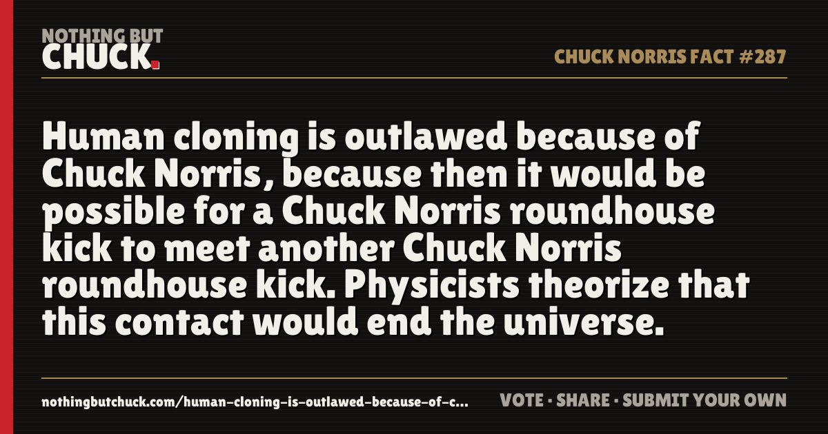 Share card: Human cloning is outlawed because of Chuck Norris, because then it would be possible for a Chuck Norris roundhouse kick to meet another Chuck Norris roundhouse kick. Physicists theorize that this contact would end the universe.