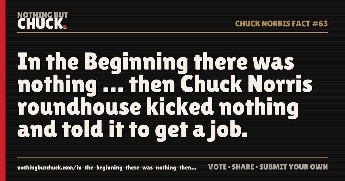 Share card: In the Beginning there was nothing … then Chuck Norris roundhouse kicked nothing and told it to get a job.
