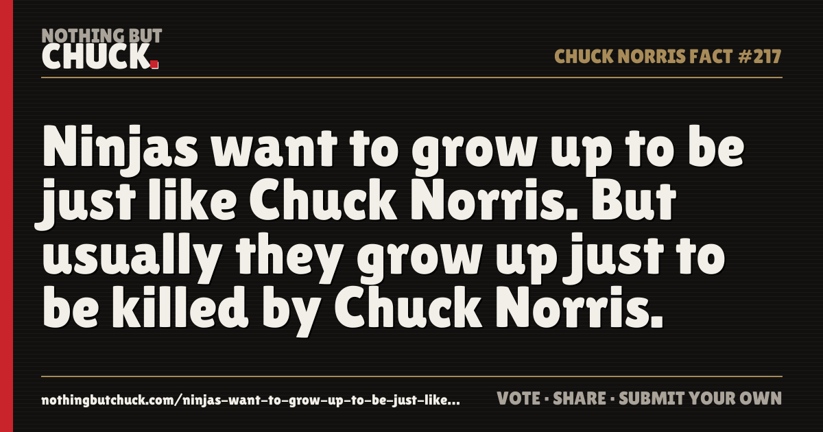 Share card: Ninjas want to grow up to be just like Chuck Norris. But usually they grow up just to be killed by Chuck Norris.