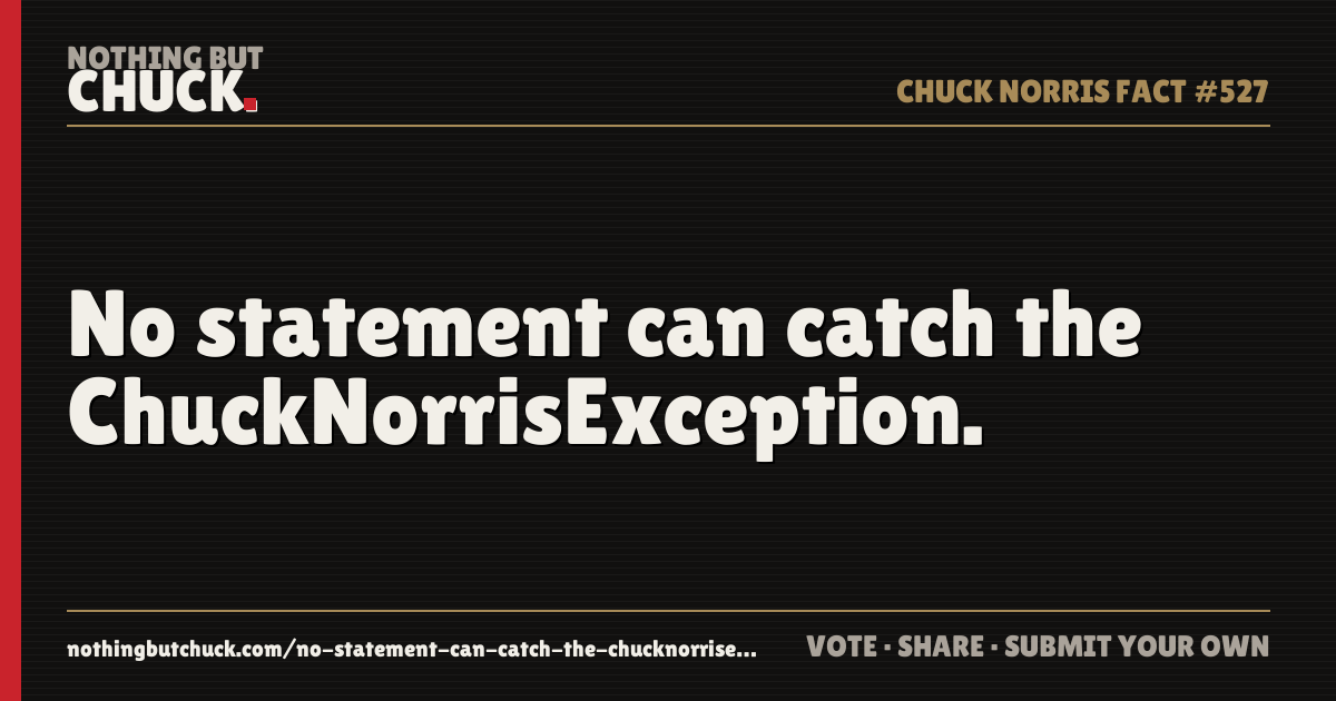 Share card: No statement can catch the ChuckNorrisException.