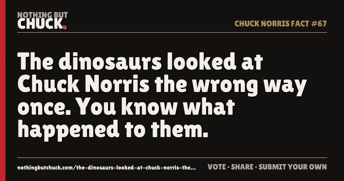 Share card: The dinosaurs looked at Chuck Norris the wrong way once. You know what happened to them.