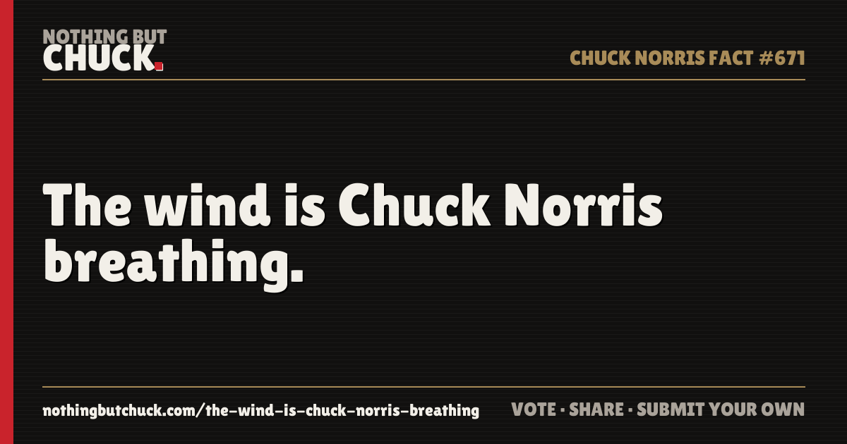 Share card: The wind is Chuck Norris breathing.
