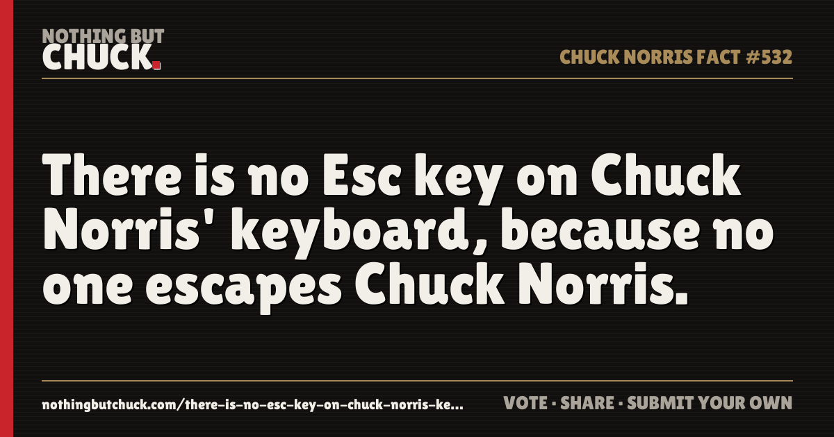 Share card: There is no Esc key on Chuck Norris' keyboard, because no one escapes Chuck Norris.
