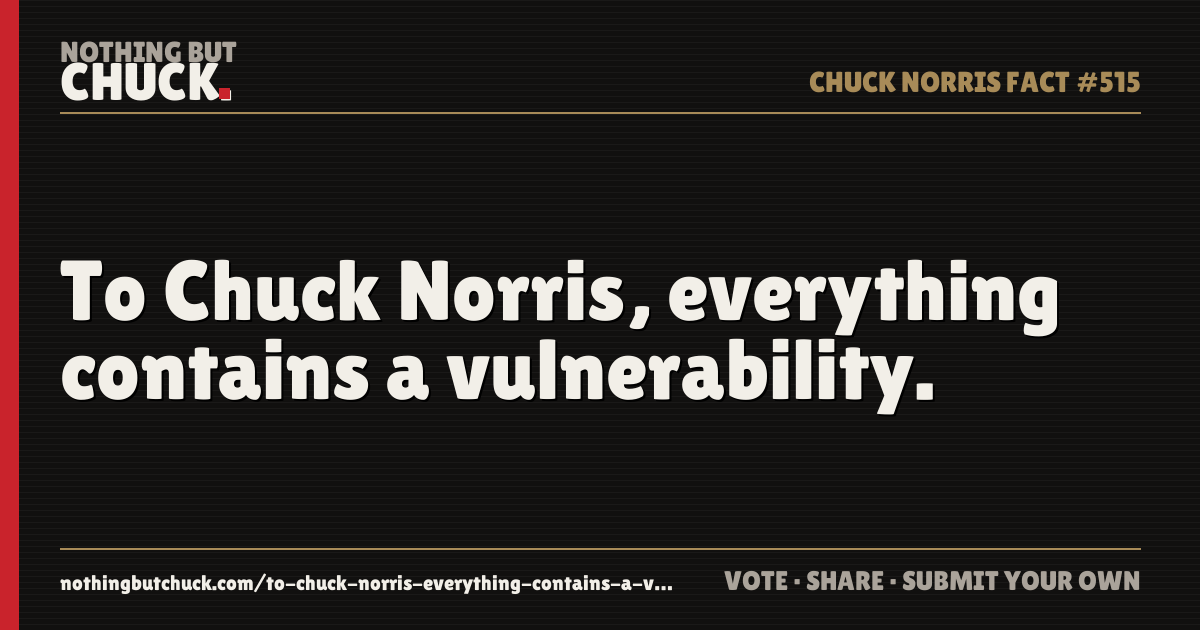 Share card: To Chuck Norris, everything contains a vulnerability.